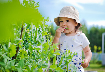 用《詩經》取個寓意大氣的女孩名字到底有多美，你絕對想不到！