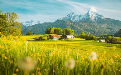 有什么好聽的產品名字