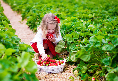 寶寶起名：出自宋詞里驚艷的男孩名、女孩名！