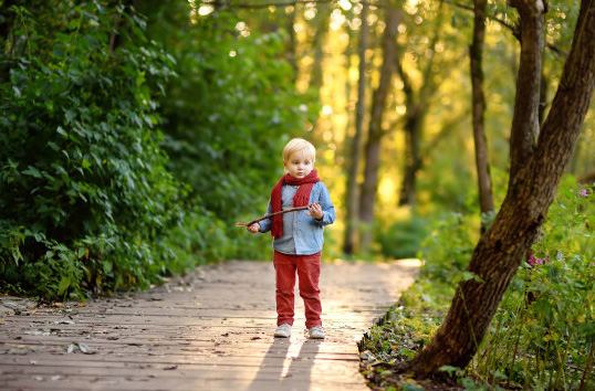 王姓詩經中特別唯美的名字推薦
