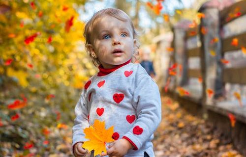 2025莫姓好聽稀少的女孩名字有哪些？