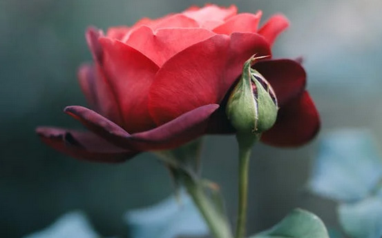 飲品店名好聽創意的名字