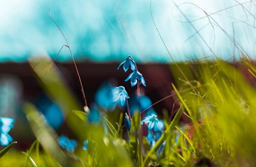 小清新森系情侶網名大全