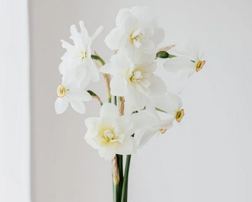 簡約ins風工作室名字有哪些？