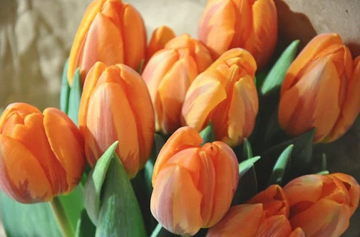 “改個茶系微信網名” 用茶取網名，高雅爆好聽