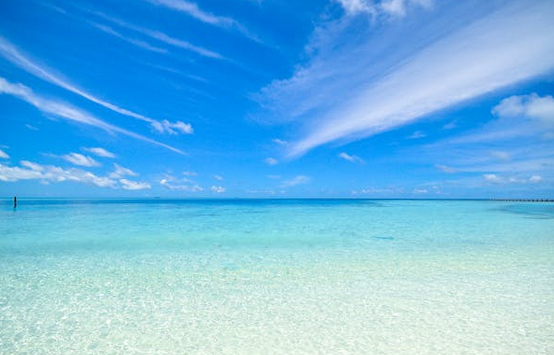 改個運氣好的2025年網名（60個）