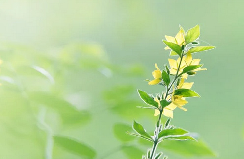 男孩起名，焦姓男孩名字大全洋氣