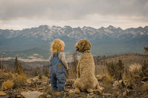 男孩起名，楊姓男孩取名豪爽大氣