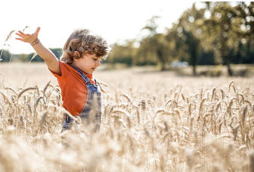 姓焦應該取啥名，看看姓焦的大氣溫柔的名字推薦