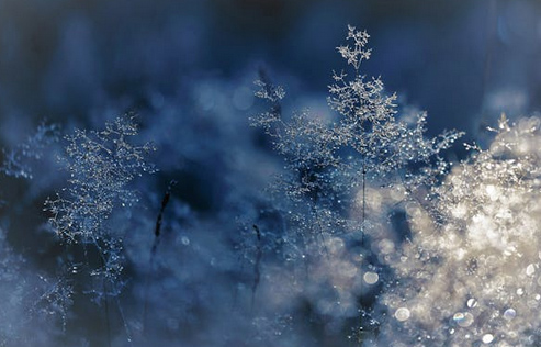 分享6個以竹為名，陽剛到爆的寶寶名字