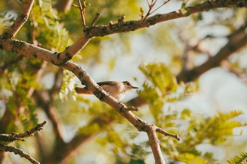 網名起名 | 2025新版的網名分享