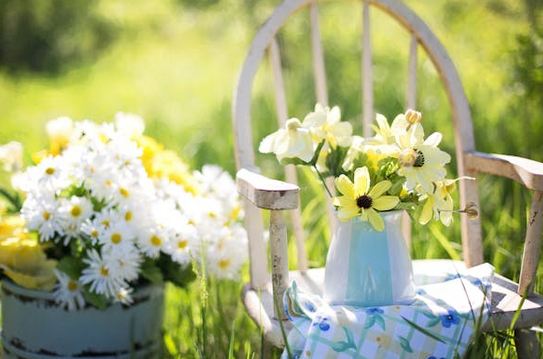 姓邱的女孩名字洋氣點的兩個字，好聽優雅的蛇年女孩名字