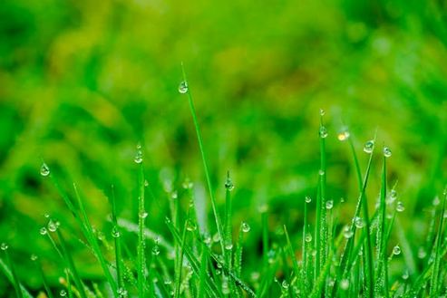 聽了就忘不掉！有記憶點的店名推薦