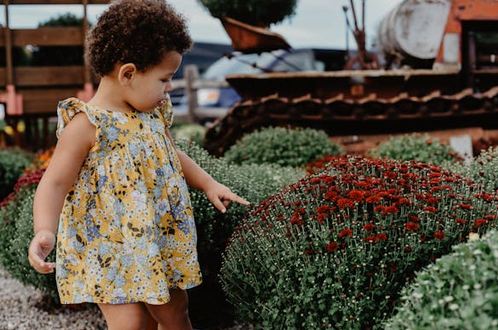 陳取什么名字好聽女生，陳姓女孩子取名字大全來啦