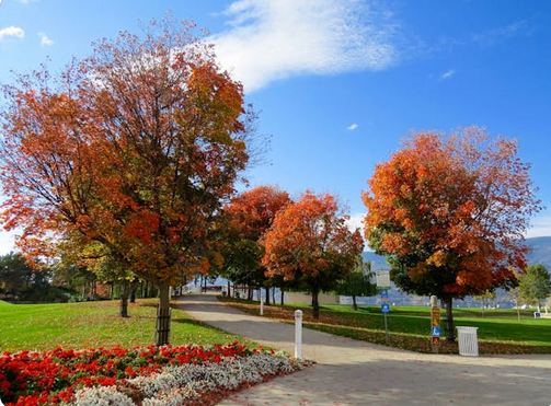 二字網名推薦！用一輩子都高級的網名