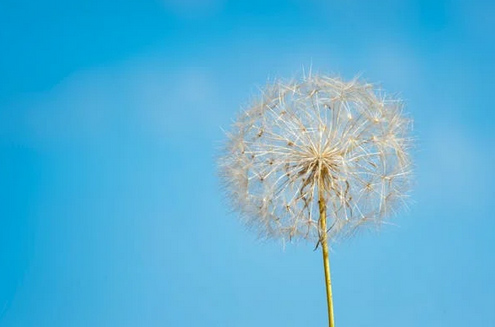 網名昵稱起名:經典不過時的微信網名