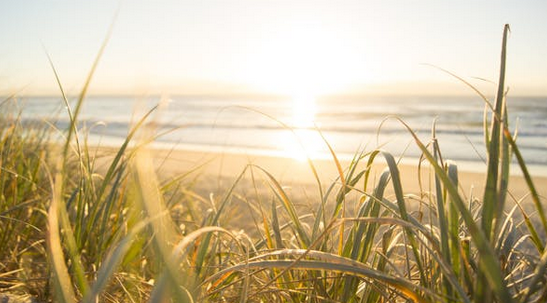 微信名起名:雅到心坎里，不俗的微信昵稱