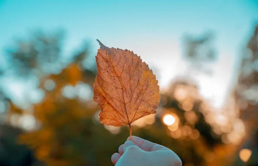 取名字大全：高端創意的健身房名字大全