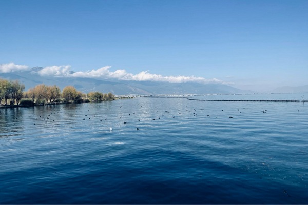 公司名字,公司起名,30個具有佛系禪意的公司名