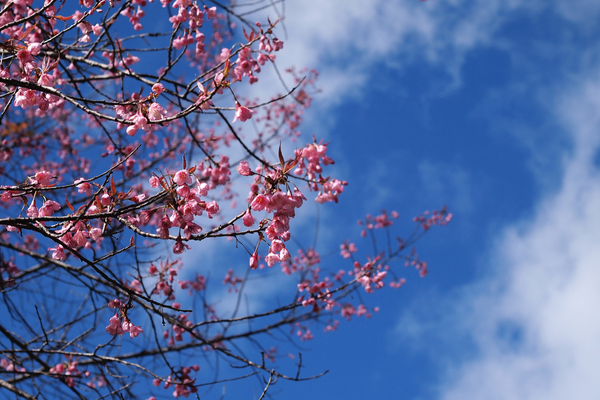 公司名字,公司起名