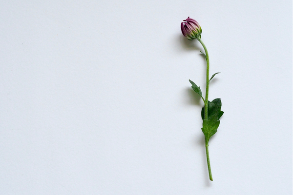 網名丨好聽又比較小眾的女生網名