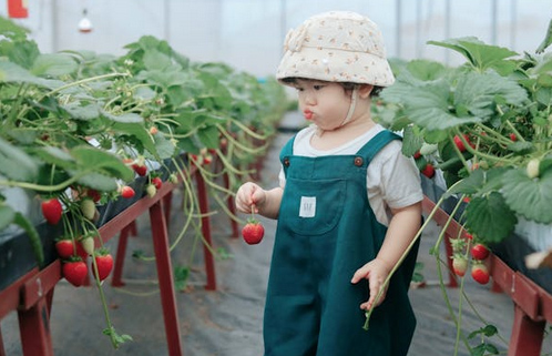 女孩起名,女孩起名甜和恬哪個更好？