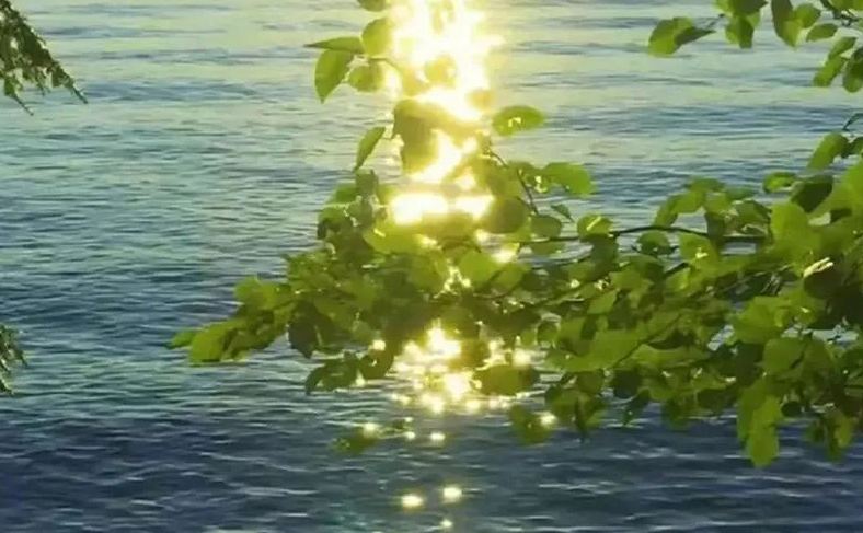 名字大全,特別吸引人的戰隊名字大全分享