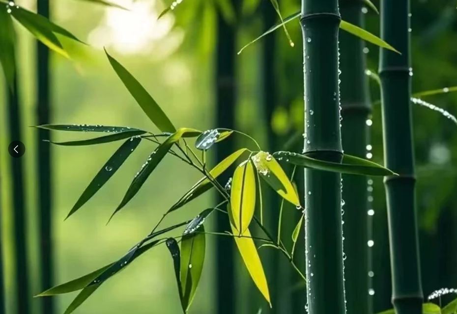 好聽的 118 個英文名字，喜歡的請帶走！