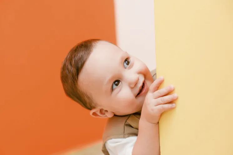 鴻字起名配什么字好？看看鴻字搭配大氣吉利的名字