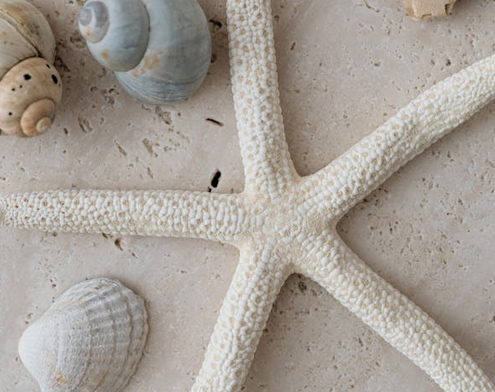 公司起名丨簡單有創意汽車租賃公司名字三個字