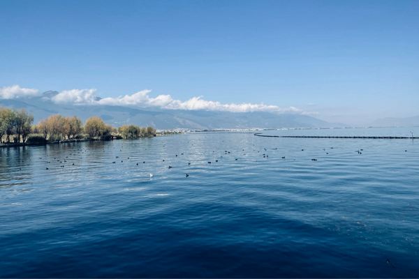 網名名字大全丨瞬間愛上的微信網名