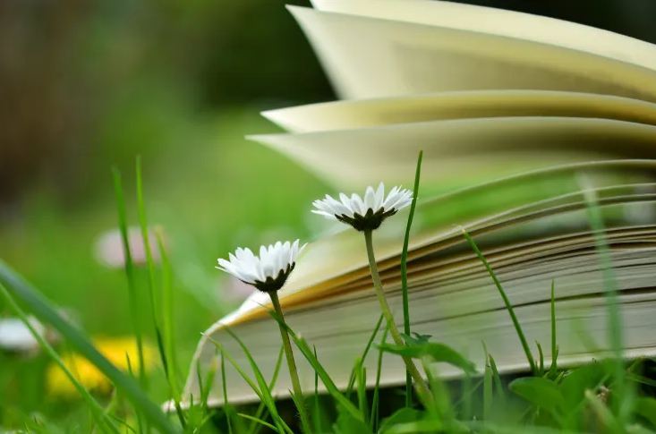 網名 | 終身適用的微信昵稱