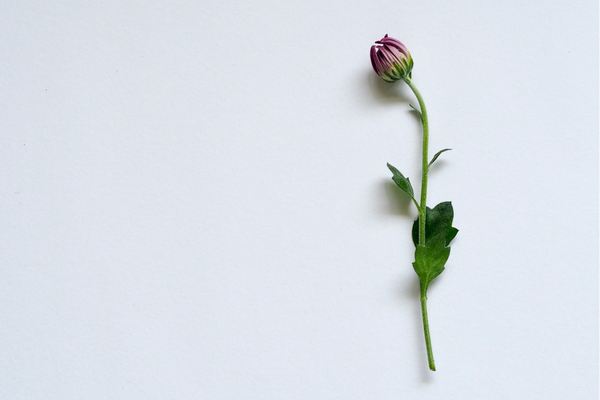 無畏契約游戲id取名鬼才，哪一個你敢用？