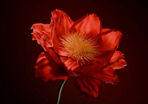 微信名起名,一眼就記住的微信昵稱