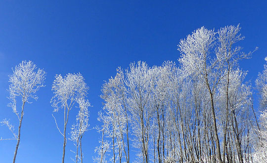 個性霸氣十足男生微信網名昵稱大全