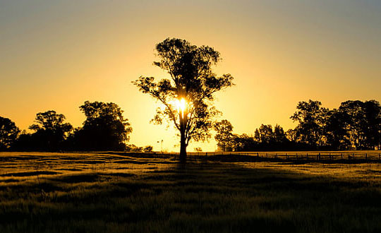 鄭姓帶余字的男孩名字精選