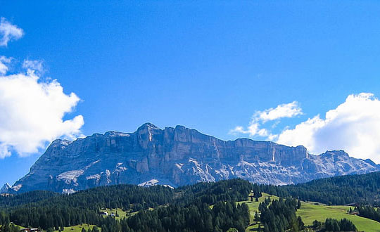 余字結尾的店名