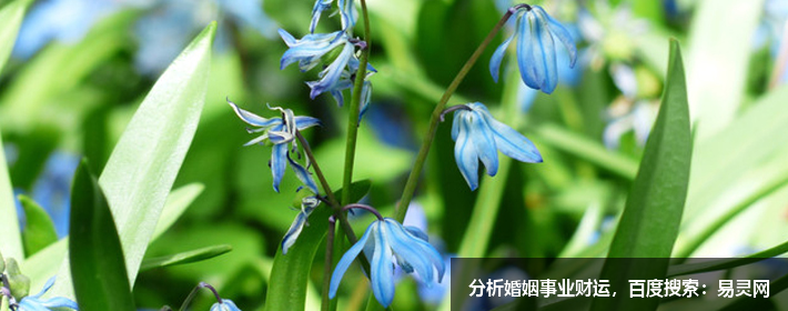 姓李的男孩起名字大全2022年四個字