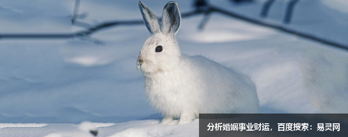 寶藏男孩胡歌，胡歌這個名字打分，解析