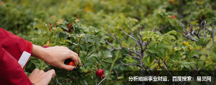 舞蹈室有創意的取名英文