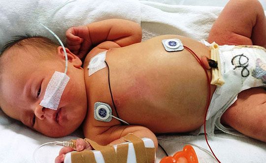 寶寶起名字大全免費2020