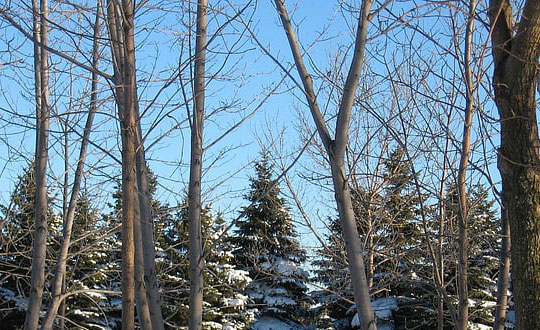 女孩取名字：知性優雅、知性大方