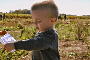 優美詩詞取名字女孩