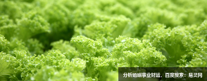 互聯網公司創意名字大全，獨特好聽應有盡有